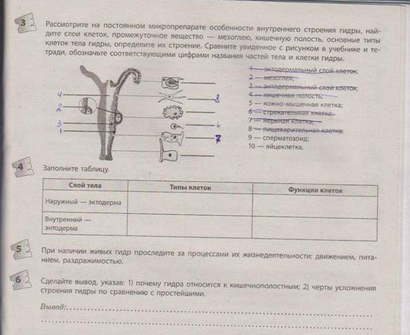 Кракен безопасный вход